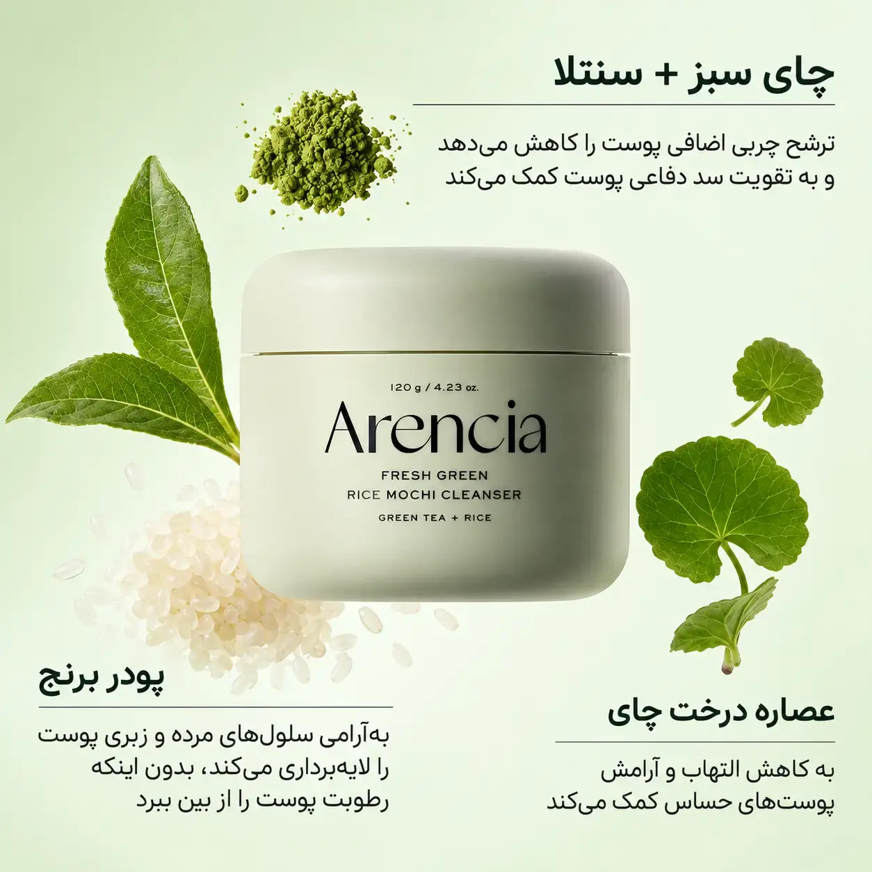 فوم شوینده موچی برنج سبز آرنسیا در ظرف بسته، کنار برنج، پودر چای سبز و برگ‌های گیاه چای